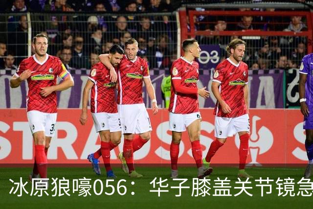 冰原狼嚎056：华子膝盖关节镜急需手术 请问明天和意外哪个先来？
