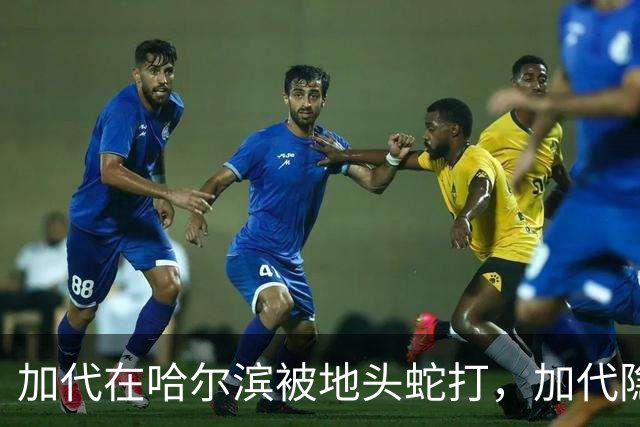 加代在哈尔滨被地头蛇打，加代隐忍不发，三天后哈尔滨高层大换血
