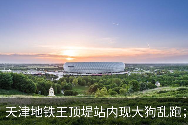天津地铁王顶堤站内现大狗乱跑；地铁回应：应该是流浪狗；乘客疑惑：它咋过的安检？