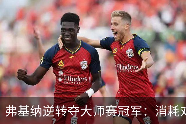 弗基纳逆转夺大师赛冠军：消耗对手体能是唯一机会