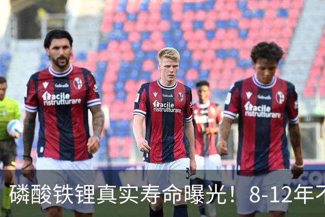磷酸铁锂真实寿命曝光！8-12年不是标配，全看你怎么造