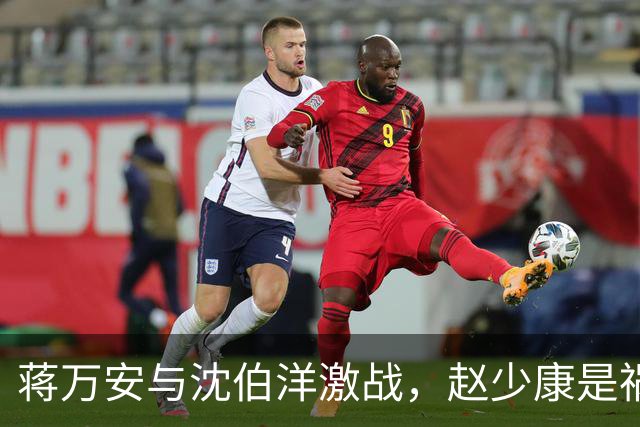 蒋万安与沈伯洋激战，赵少康是祸首，却嫁祸郑丽文？邱毅说公道话