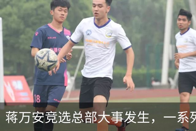 蒋万安竞选总部大事发生，一系列人事名单出炉，卢秀燕定位不简单