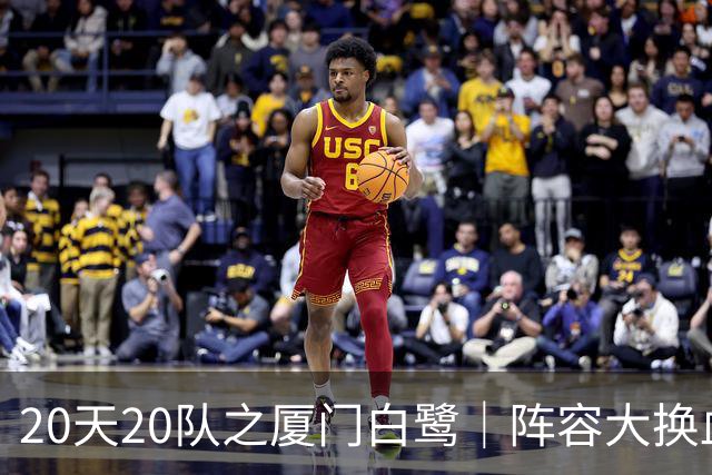 20天20队之厦门白鹭｜阵容大换血！全新00后青年军出征新赛季