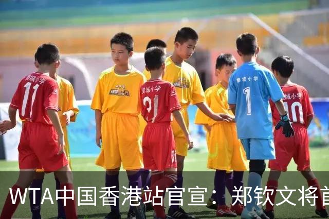 WTA中国香港站官宣：郑钦文将首次参赛成赛季收官战 大威也参赛