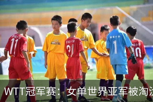 WTT冠军赛：女单世界亚军被淘汰！0:3一轮游，孙颖莎3:0东道主